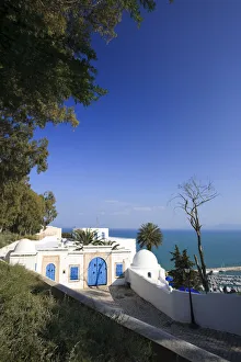 Africa, Tunisia, Village of Sidi Bou Said Africa, Tunisia, Village of Sidi Bou Said