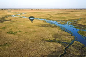 Africa, Zambia. Ballooning in the Kafue National park Africa, Zambia. Ballooning in the Kafue National park