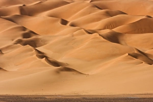 Algeria, Sahara, An Erg of stellar dunes Algeria, Sahara, An Erg of stellar dunes