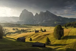 Alpe Di Siusi Collection: Alpine meadow and wooden huts in the Dolomites, Italy