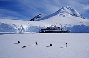 Antarctica, Antarctic Peninsula, Port Lockroy Antarctica, Antarctic Peninsula, Port Lockroy