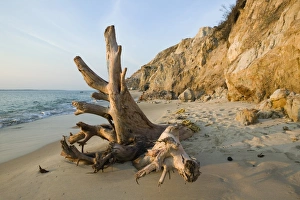 Aquinnah, Gay Head, Marthas Vineyard, Massachusetts, USA Aquinnah, Gay Head, Marthas Vineyard, Massachusetts, USA