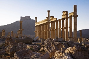 An Arab fortress stands over the spectacular ruined city of Palmyra An Arab fortress stands over the spectacular ruined city of Palmyra
