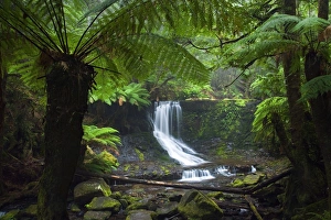 Australia, Tasmania, Mt Field National Park. Horseshoe Falls Australia, Tasmania, Mt Field National Park. Horseshoe Falls