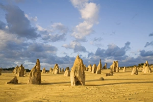 Australia, Western Australia, Cervantes, Nambung National Park. Limestone pillars at dusk in the Pinnacles Australia, Western Australia, Cervantes, Nambung National Park. Limestone pillars at dusk in the Pinnacles