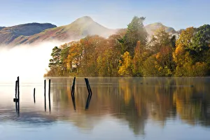 Prints of Autumn foliage on the banks of Derwent Water, Keswick, Lake District National Park, Cumbria, England, UK. Autumn (November) 2009 Lake Prints: Autumn Foliage Print on Derwent Water Banks