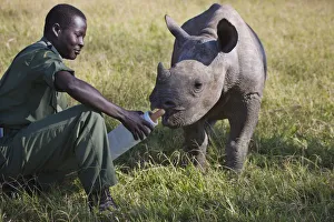 Baby Rhino, Lewa Wildlife Conservancy, Kenya Baby Rhino, Lewa Wildlife Conservancy, Kenya