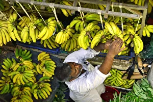 Bananas at the Big Vegetable Market, Port Louis, Mauritius, Indian Ocean Bananas at the Big Vegetable Market, Port Louis, Mauritius, Indian Ocean