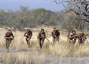 Images Dated 2009 April: Print of !Kung Hunter-Gatherers Approaching Antelope