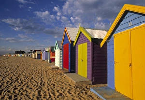 Melbourne Coastal Walks Prints: Bathing Huts