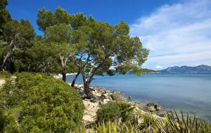 Beach Platja de Formentor, Cala Pi de la Posada, Majorca, Balearic Islands, Spain Beach Platja de Formentor, Cala Pi de la Posada, Majorca, Balearic Islands, Spain