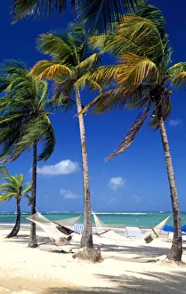Beach in San Juan, Puerto Rico, Caribbean Beach in San Juan, Puerto Rico, Caribbean