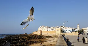 The beautiful and windy city of Essaouira. Morocco The beautiful and windy city of Essaouira. Morocco