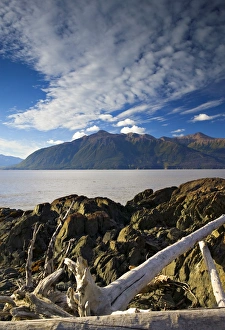 Images Dated 2004: Beluga Point Print, Kenai Peninsula Landscape