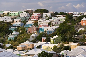 Bermuda, Hamilton, traditonal Bermuda houses Bermuda, Hamilton, traditonal Bermuda houses