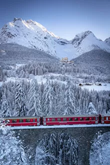 Rail Transportation Collection: Bernina Express train on viaduct surrounding Tarasp Castle and snow capped mountains