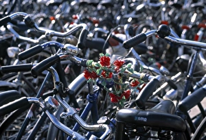 Prints of Bikes, Leiden, Zuid, Holland Images Dated 2001: Leiden Bikes Print, Zuid Holland