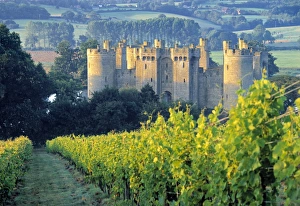 Castle Architecture England Prints: Bodiam Castle