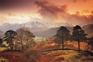 Borrowdale, Lake District, Cumbria, England Borrowdale, Lake District, Cumbria, England