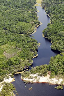 Brazil, Amazon, Aerial view of Amazon forest and a black-water creek (Igarape) Brazil, Amazon, Aerial view of Amazon forest and a black-water creek (Igarape)