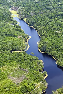 Brazil, Amazon, Aerial view of an igapo (black water creek) in the Amazon forest near Brazil, Amazon, Aerial view of an igapo (black water creek) in the Amazon forest near