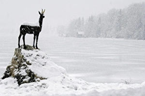 Bronze statue of Slovenian Antelope in the Bronze statue of Slovenian Antelope in the