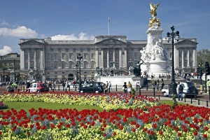 Buckingham Palace is the official London residence Buckingham Palace is the official London residence