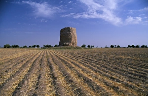 Buddhist Stupa Architecture Prints: Buddhist stupa