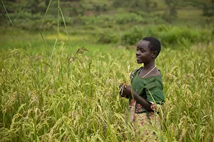 Burundi. A girl stands in a sorghum field in rural Burundi Burundi. A girl stands in a sorghum field in rural Burundi