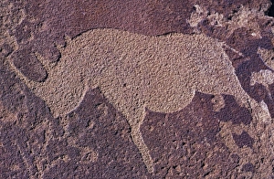Bushman Rhino Petroglyph near caves formations at Twyfelfontein Bushman Rhino Petroglyph near caves formations at Twyfelfontein