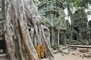 Cambodia, Siem Reap, Angkor, Ta Prohm Temple Cambodia, Siem Reap, Angkor, Ta Prohm Temple