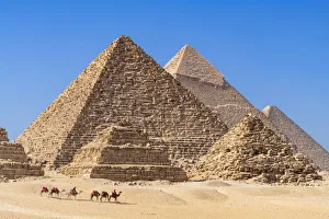 Camel train at the Pyramids of Giza, Giza, Cairo, Egypt Camel train at the Pyramids of Giza, Giza, Cairo, Egypt