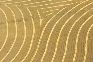 Canada. Patterns in the rows of crop on the prairie shot from an airplane Canada. Patterns in the rows of crop on the prairie shot from an airplane