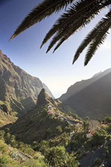 Canary Islands, Tenerife, Masca Mountain Village Canary Islands, Tenerife, Masca Mountain Village