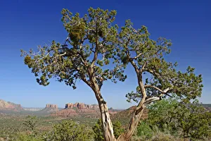 Canyon Landscape near Sedona, Arizona, USA Canyon Landscape near Sedona, Arizona, USA
