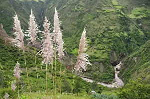Canyon north of Pasto, Colombia, South America Canyon north of Pasto, Colombia, South America