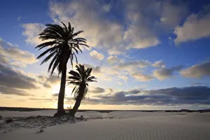 Cape Verde, Boavista, Rabil, Viana Desert Cape Verde, Boavista, Rabil, Viana Desert