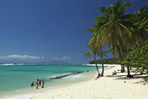 Island Hopping In The Caribbean Prints: Capesterre