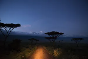 Car headlights illumiate the road into Ngorongoro Crater, before dawn, Tanzania Car headlights illumiate the road into Ngorongoro Crater, before dawn, Tanzania