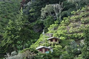 Central America, Costa Rica, Houses on the hillside Central America, Costa Rica, Houses on the hillside