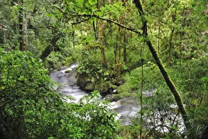 Central America, Costa Rica, Stream in the ungle Central America, Costa Rica, Stream in the ungle