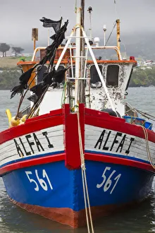 Chile, Chiloe Island, Ancud, fishing boats Chile, Chiloe Island, Ancud, fishing boats