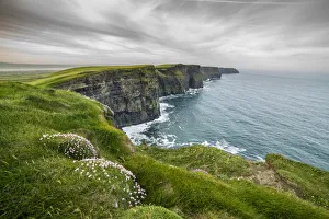 Cliffs of Moher with flowers on the foreground. Liscannor, Munster, Co.Clare, Ireland Cliffs of Moher with flowers on the foreground. Liscannor, Munster, Co.Clare, Ireland