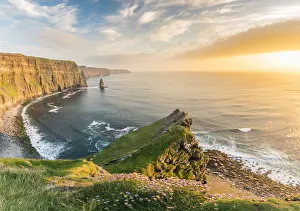 Cliffs of Moher at sunset, with flowers on the foreground Cliffs of Moher at sunset, with flowers on the foreground