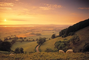 English Countryside Images Prints: Coaley Peak