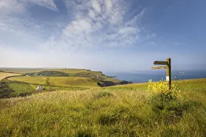 Hartland Point Coast Print, Devon England