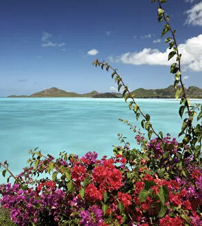 Coco Bay, Antigua, Caribbean, West Indies