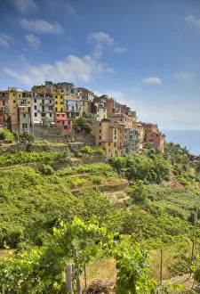 Corniglia, Cinque Terre, Riviera di Levante, Liguria, Italy Corniglia, Cinque Terre, Riviera di Levante, Liguria, Italy