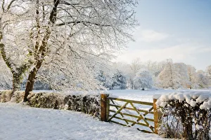 Country Gate in Winter, Norfolk, England Country Gate in Winter, Norfolk, England
