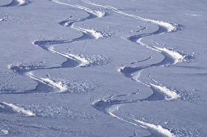 Deep powder snow, Ski traces, Tyrol, Austria Deep powder snow, Ski traces, Tyrol, Austria